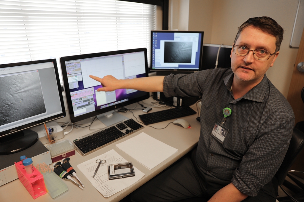 Stephen Back lab study